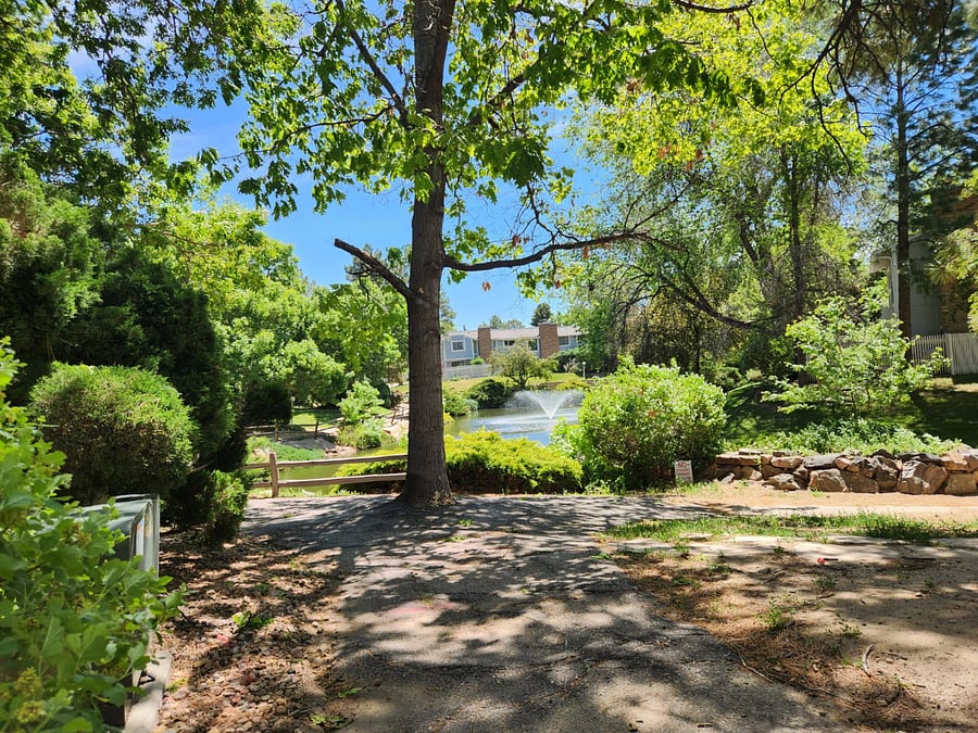View of the pond. 