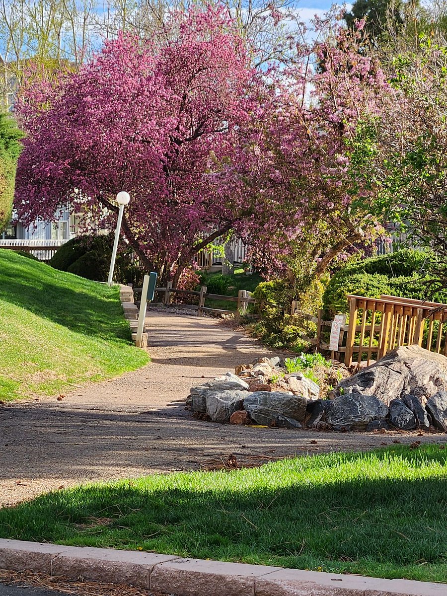 Walkway near the pond. 
