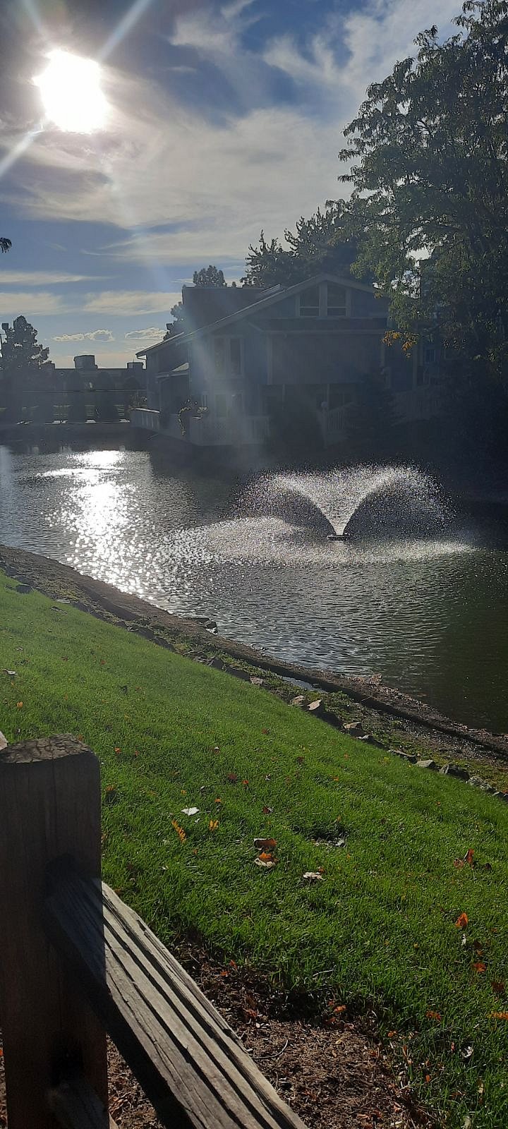 View of nearby pond. 