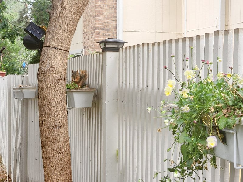 Furnished Finder property 570306_1 photo 94