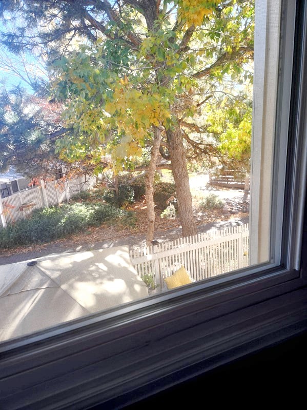 Window view from your room. 