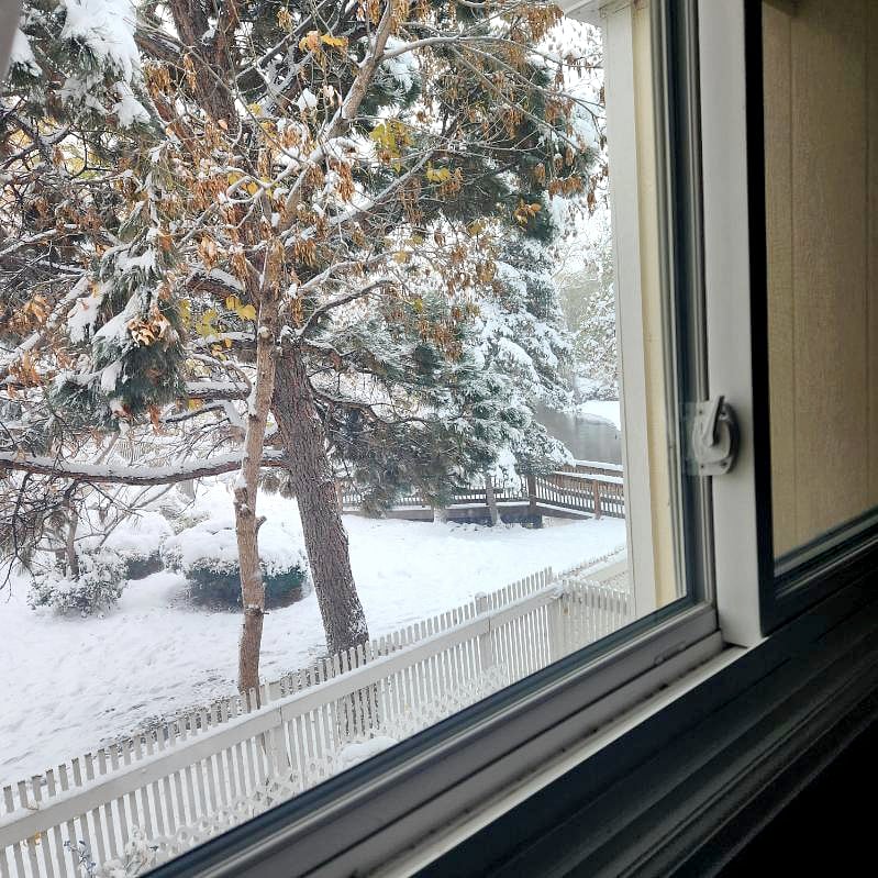 Window view from your room. 