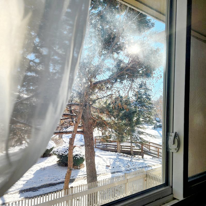 Window view from your room. 