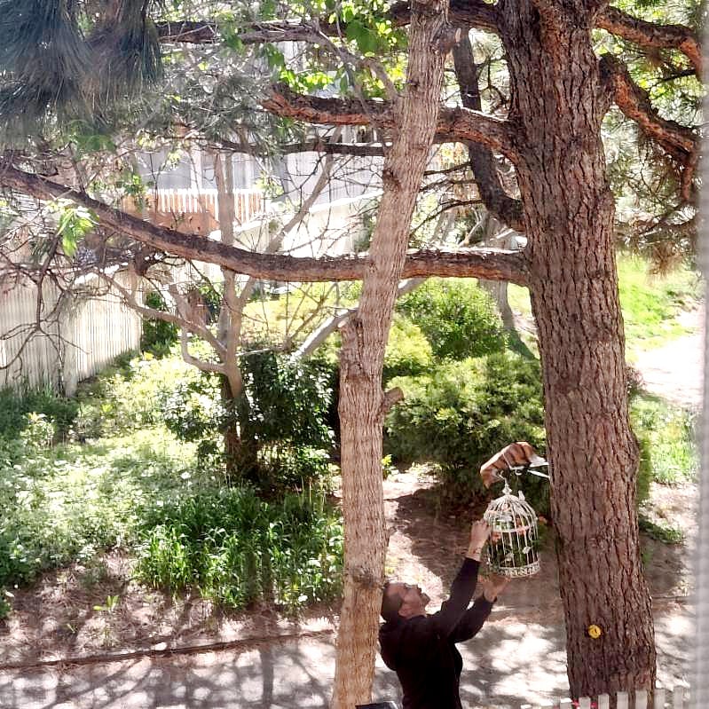 Window view from your room. 