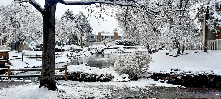 Winter view of pond. 