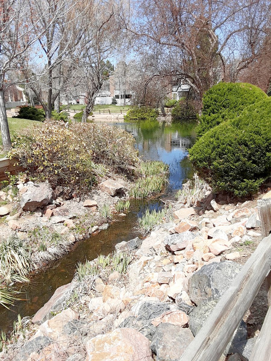 Creek connected to the pond. 