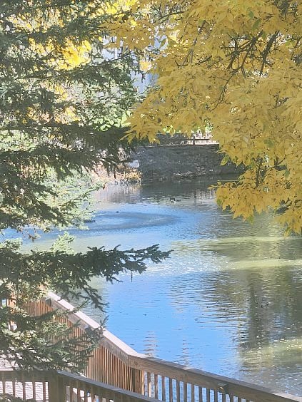 Pond. 
