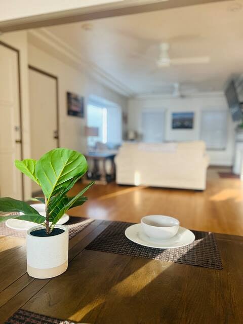 Furnished Finder property 570410_1 photo 15