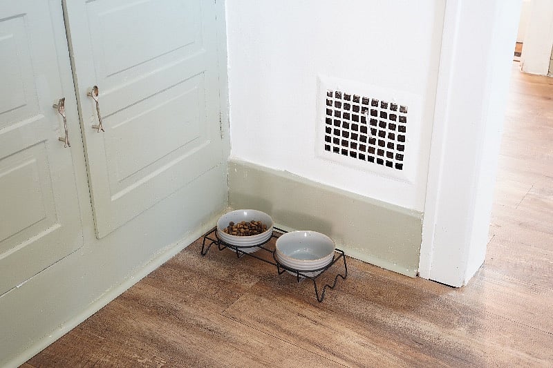 dog friendly amenities include a fully fenced back yard