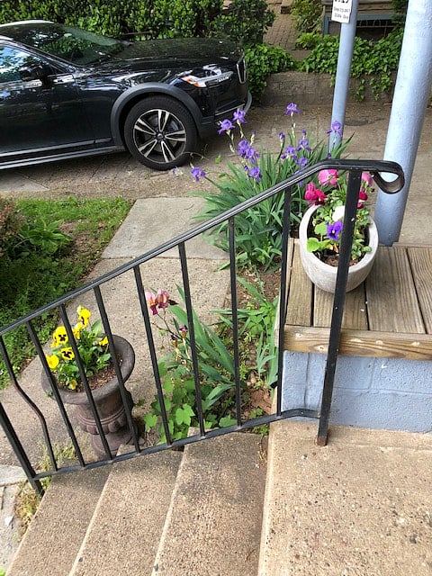 front yard
