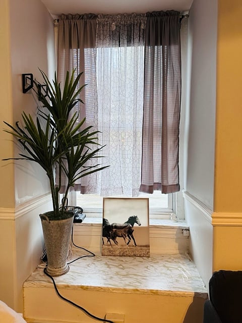 Furnished Finder property 570634_2 photo 4