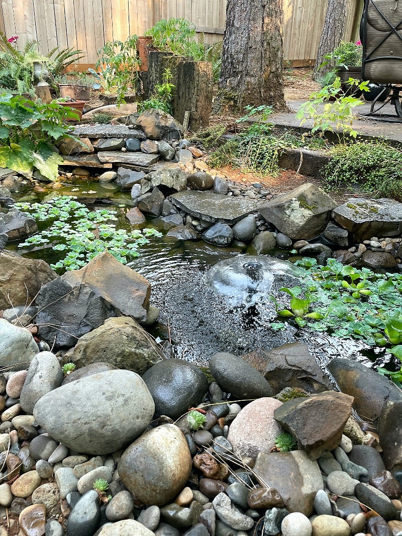 Bubbling pond can be enjoyed from the kitchen window.