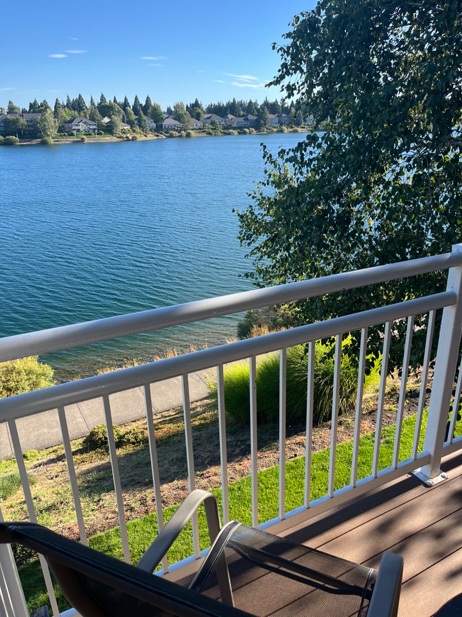 Furnished Finder property 570821_1 photo 40