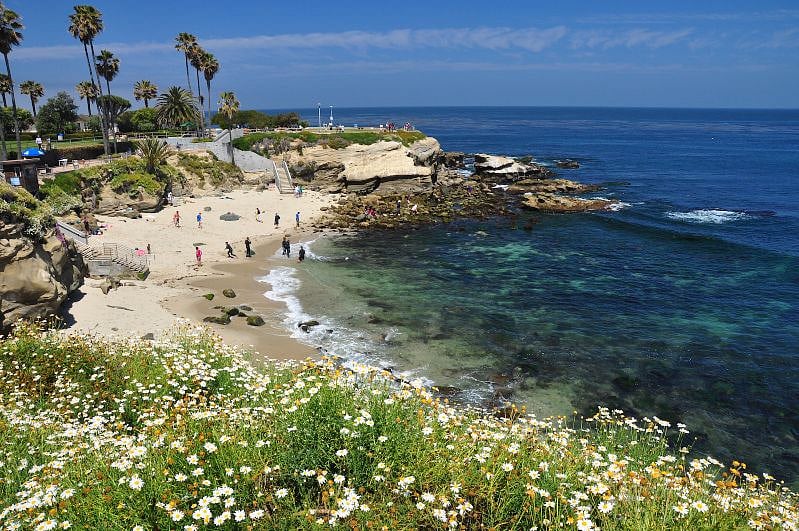 Beautiful La Jolla cove (locals tip: it's pronounced "la hoiya") with its upscale boutiques and eateries and seals on the beach