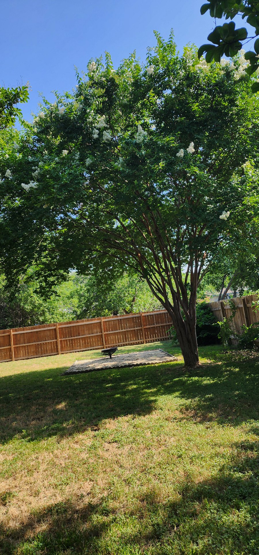 Furnished Finder property 571721_1 photo 15