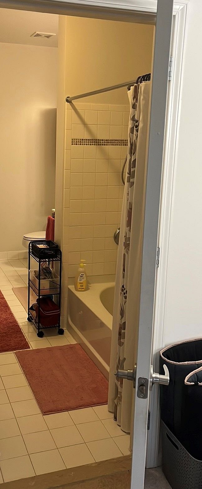 private bathroom - attached to Master bedroom