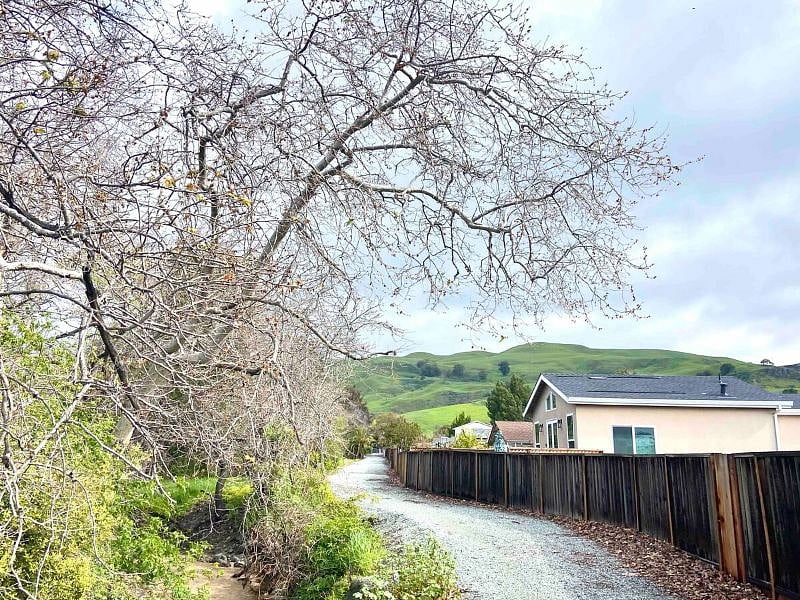 The seasonal creek (Winter/Spring) that runs behind Guesthouse. Enjoy the peaceful creek sounds from the deck setting while gazing at the hills! In Summers, creek dries up while the trees become home to several birds and their beautiful melodies!
