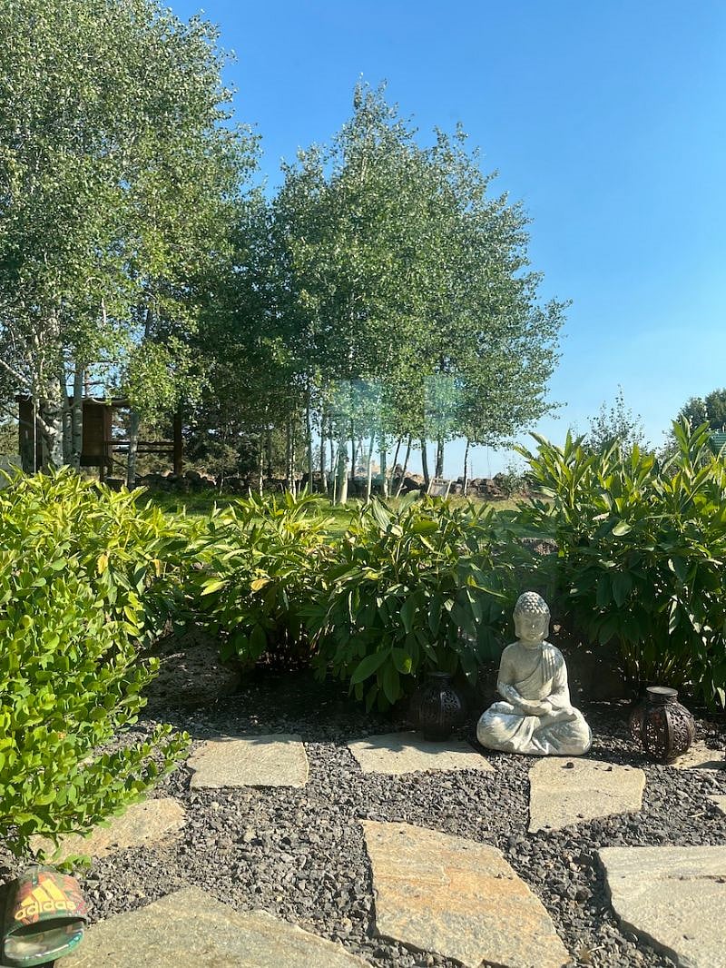 Back yard