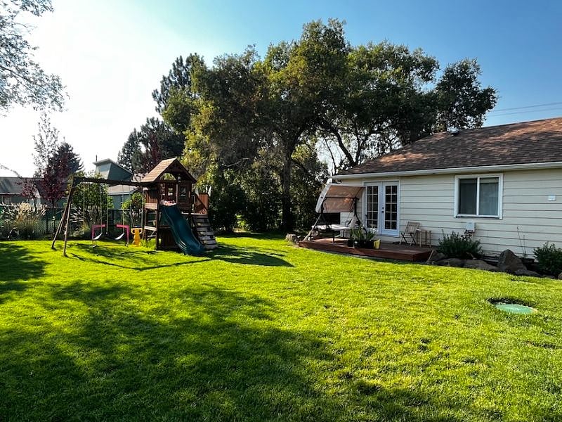 Back yard