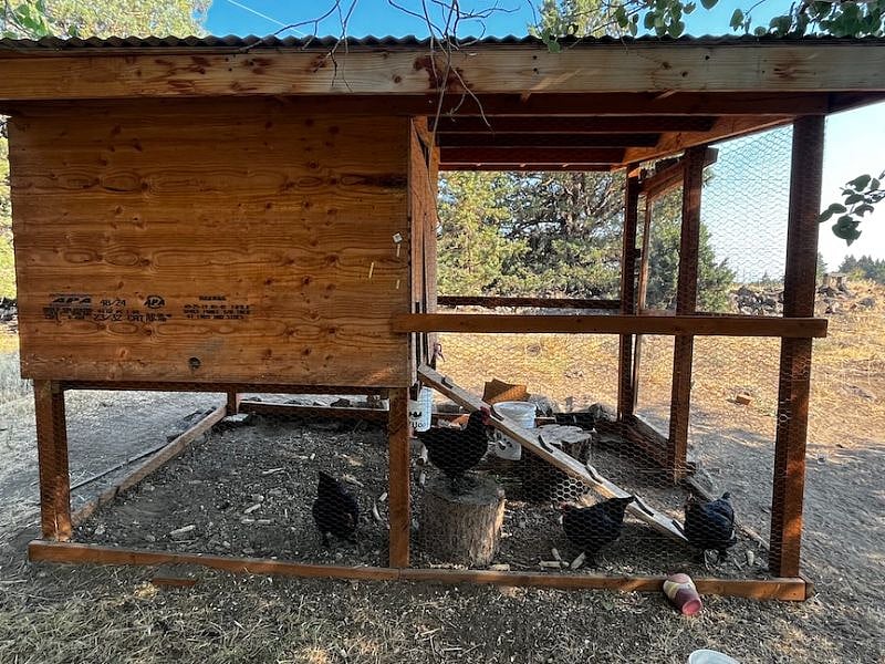 Chicken Coop