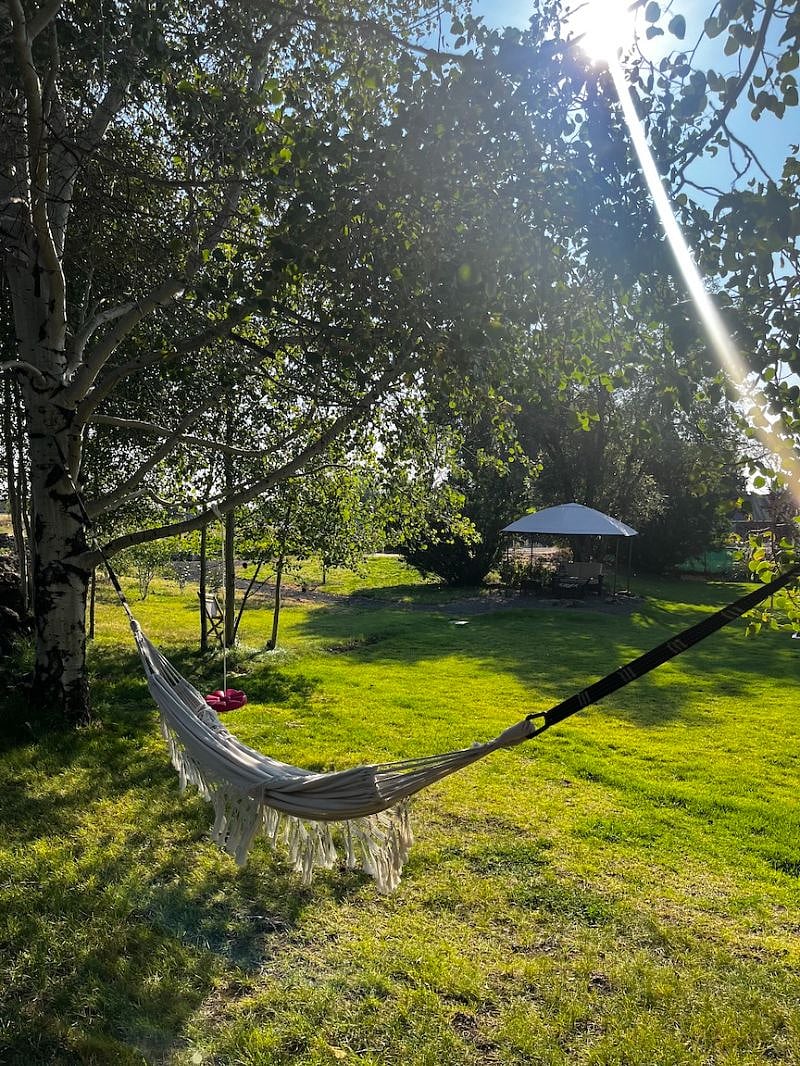 Back yard