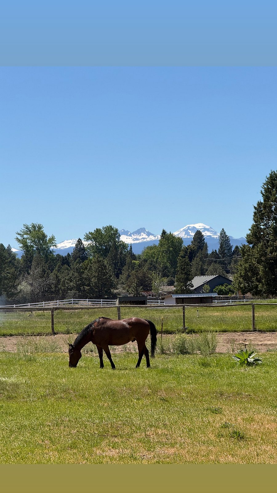 Mountain view