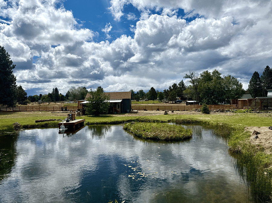 Irrigation pond
