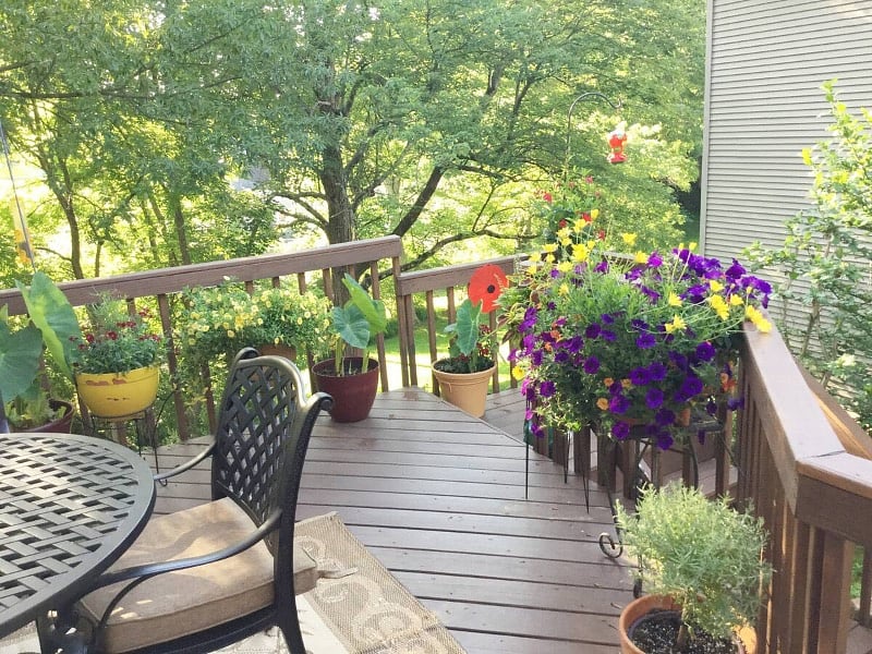 Furnished Finder property 571902_1 photo 40