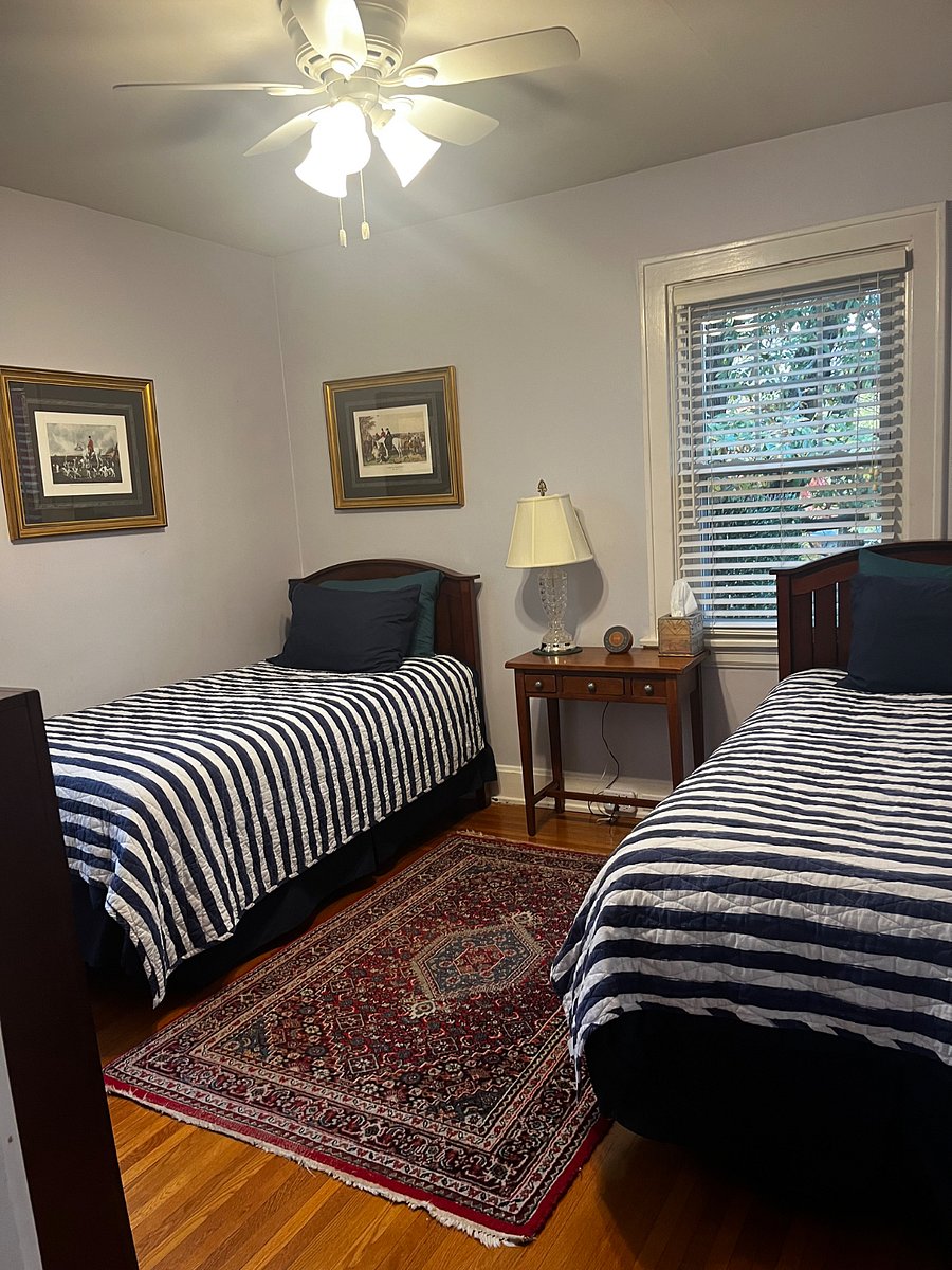 First floor bedroom with twin beds, ceiling fan, noise machine, and box of Kleenex.