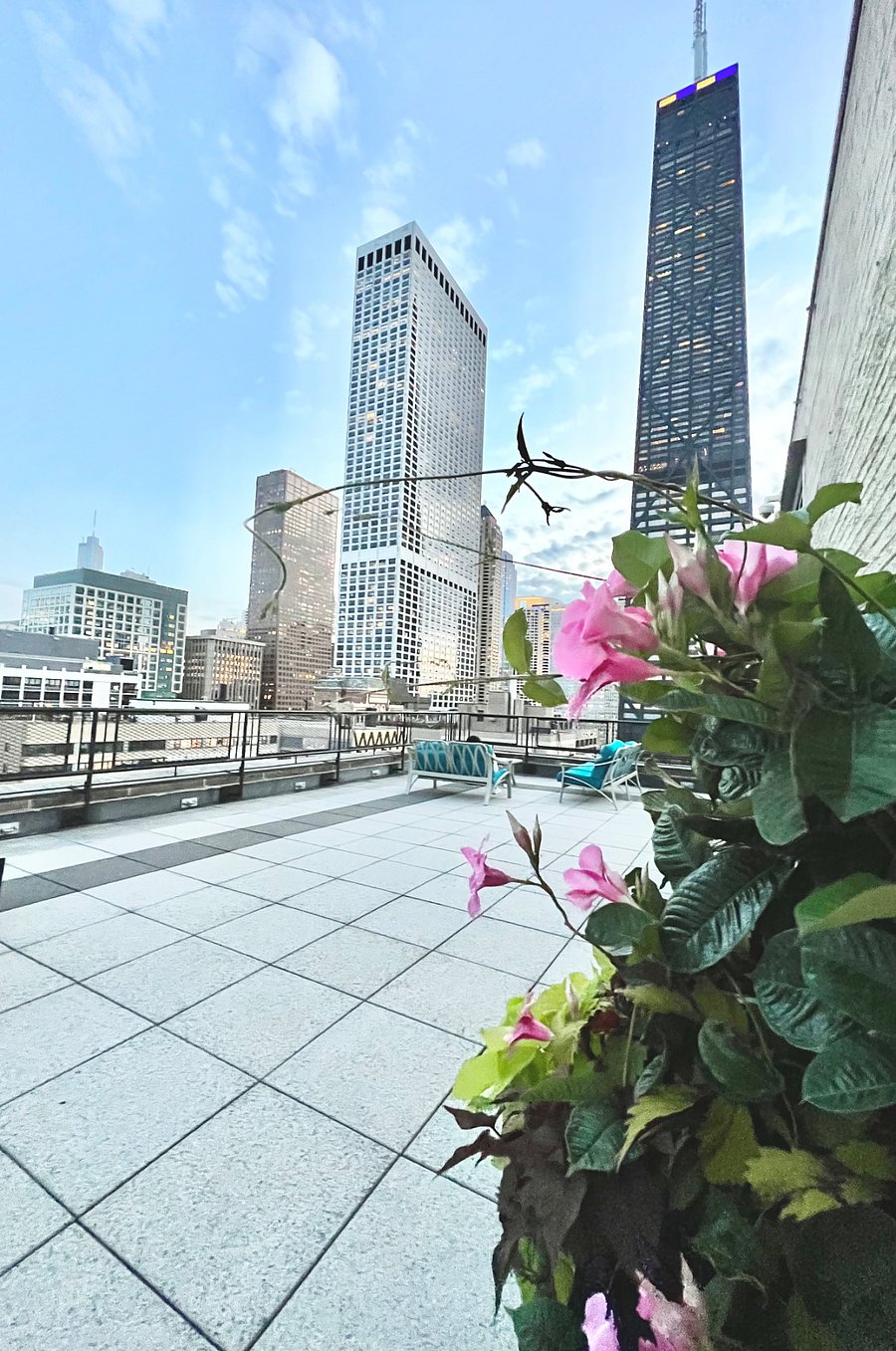 rooftop