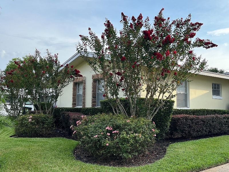This home has gorgeous landscaping from every angle. Something is always blooming at Sunset Bungalow.