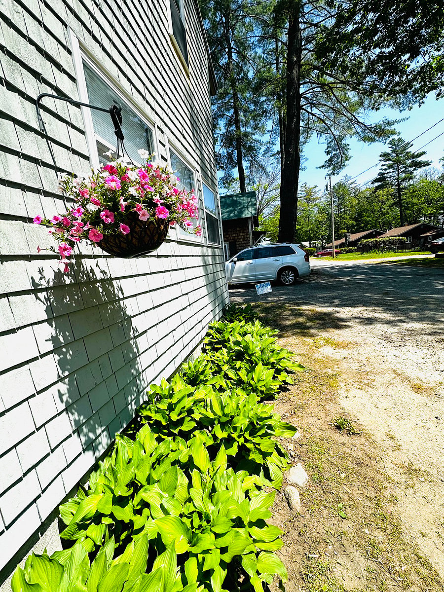 Furnished Finder property 572781_1 photo 9