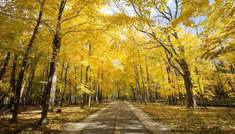 Hiking options nearby