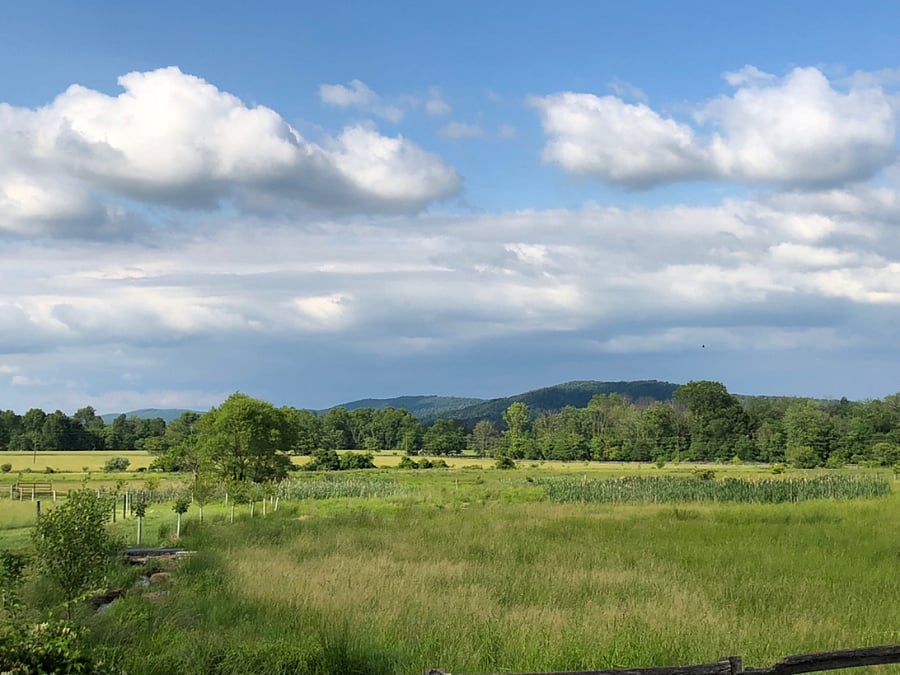 View of Short Hill Mountain