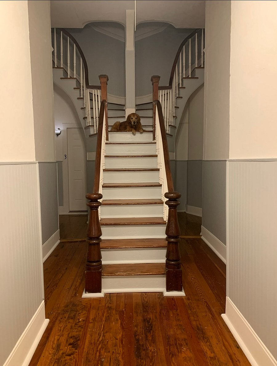Interior stairs going up to the condo (dog not included ;))