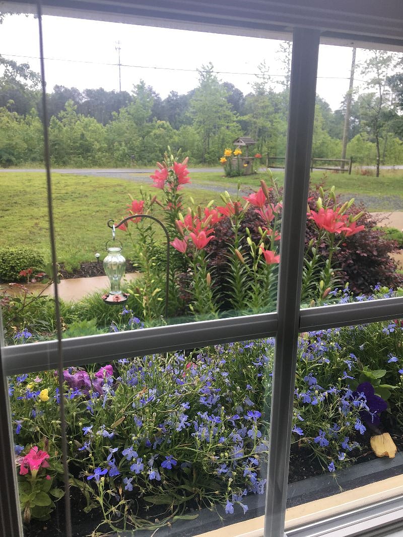 View from kitchen window
