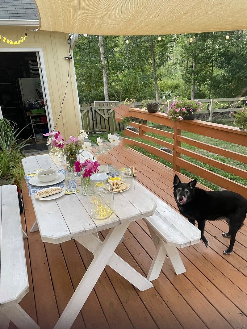 Back Deck