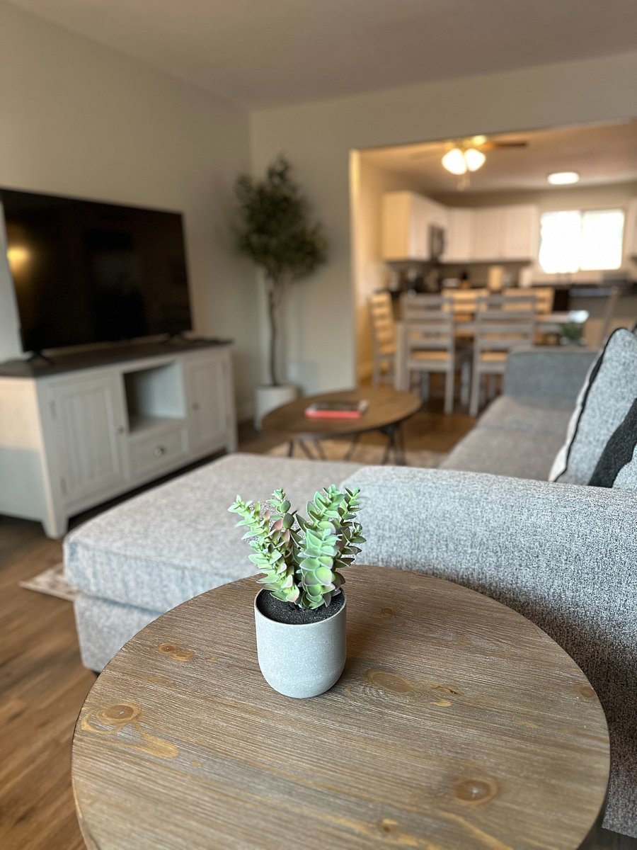 Furnished Finder property 573639_1 photo 11