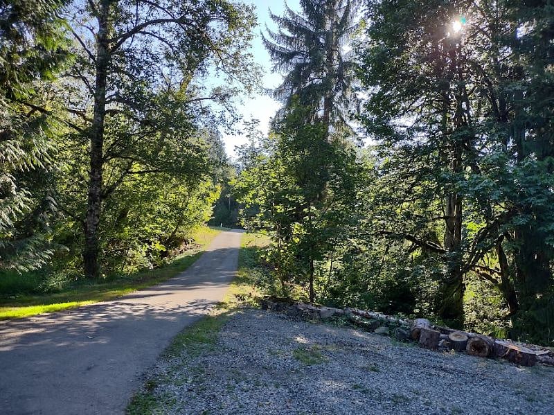 Driveway to the street. Trees & seasonal creek between street & rental unit makes for a beautiful & peaceful 'privacy' buffer.