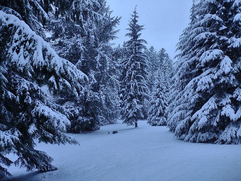 Rare & Beautiful Snowfall Covered our Property in White.