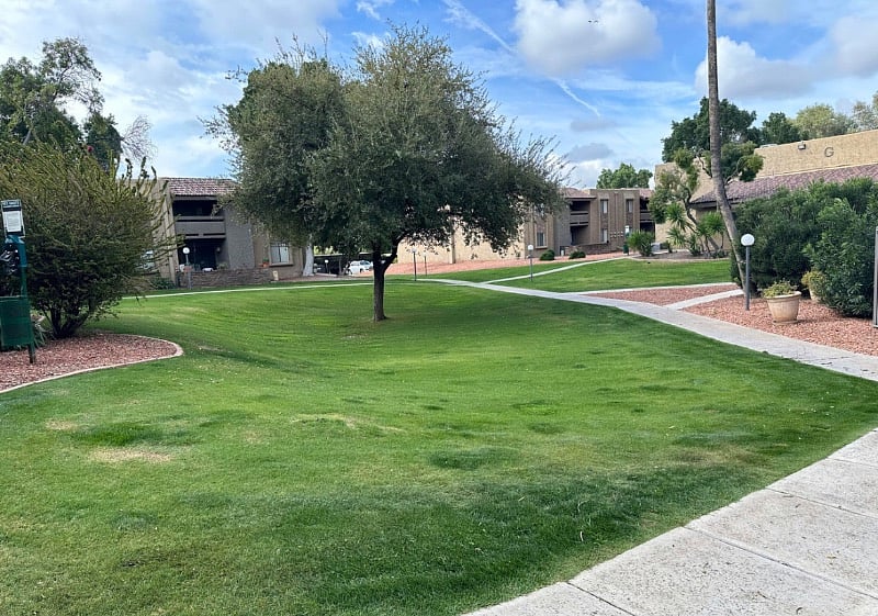 Plush green grass all around community 
