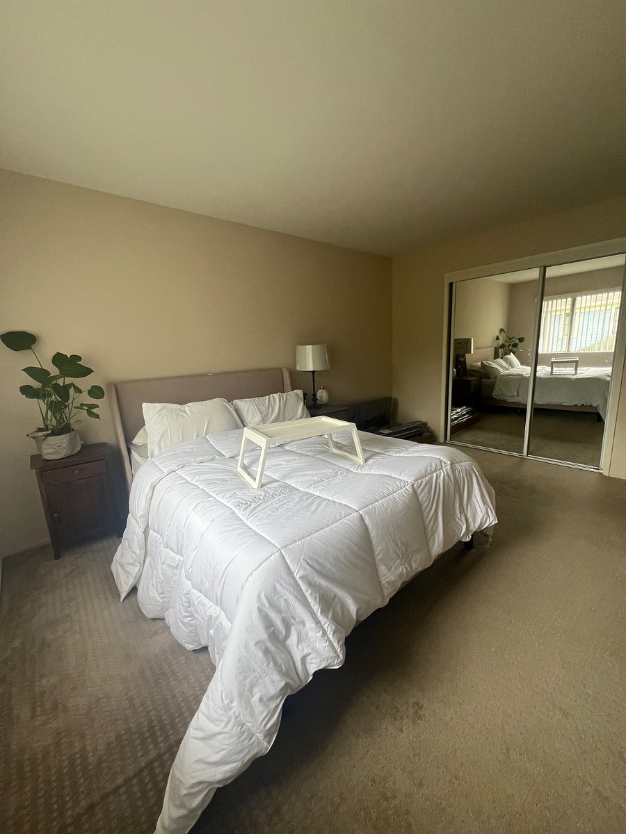 Furnished Finder property 574318_1 photo 6