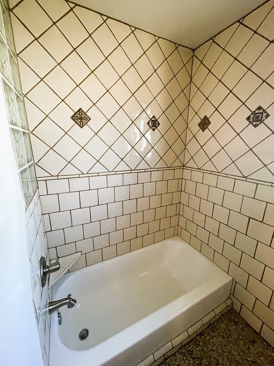 master bathroom tub