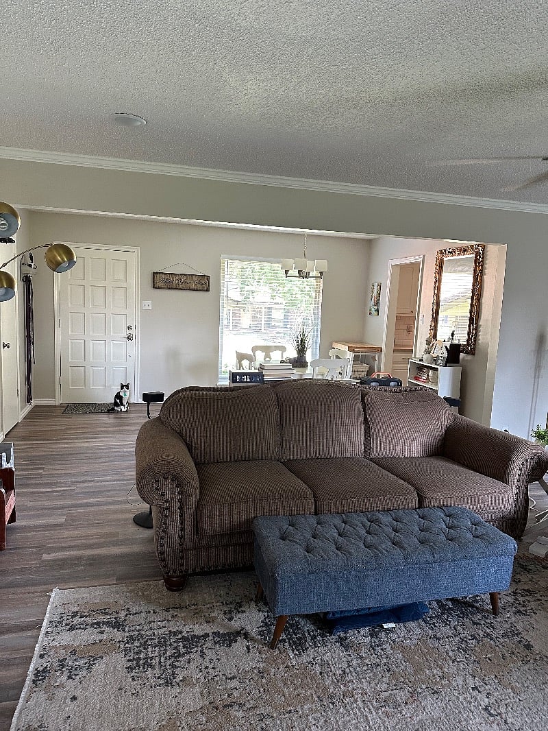 Living Room w/Cat
