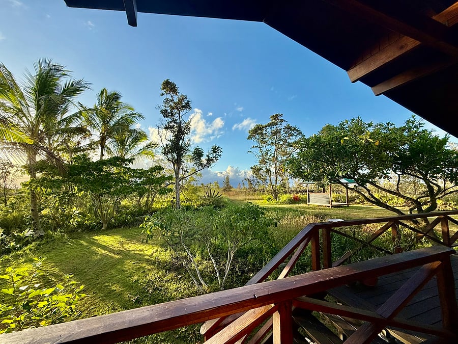 Early morning from the back lanai