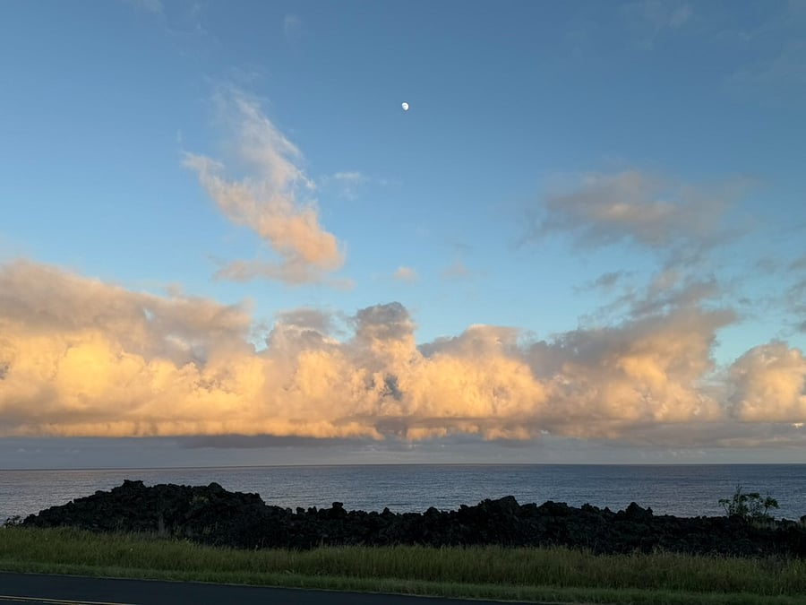View from the main road in front of the subdivision