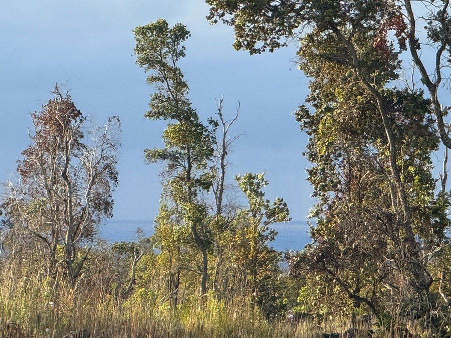 Zoomed in pic of the ocean view