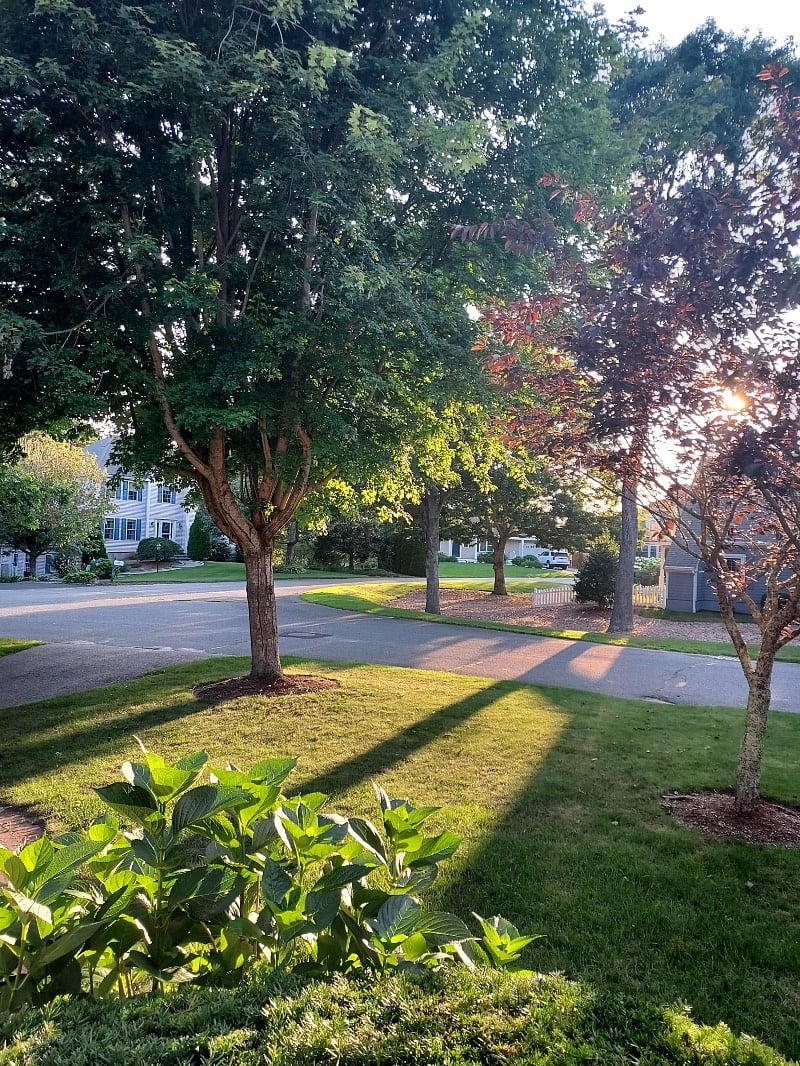 Furnished Finder property 574472_1 photo 9