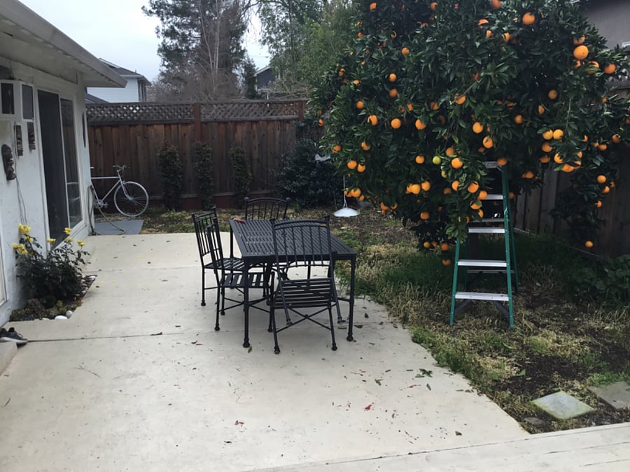Furnished Finder property 574481_2 photo 7