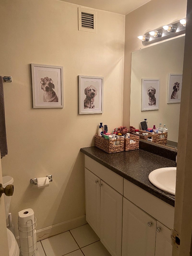 Furnished Finder property 574761_1 photo 5